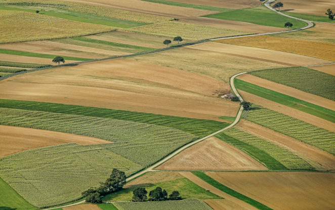 Catia Bastioli dialoga con BBI JU e BIC sul futuro dell’industria bio-based